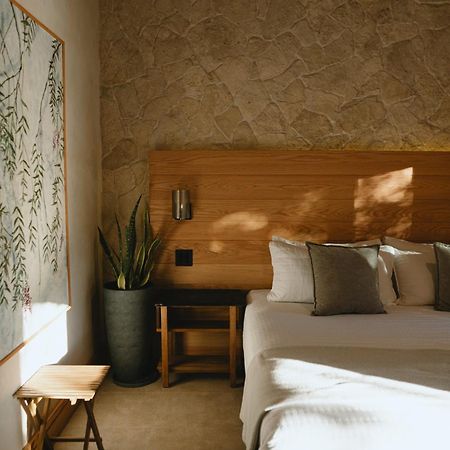 Mya Hotel Valle de Guadalupe Zewnętrze zdjęcie
