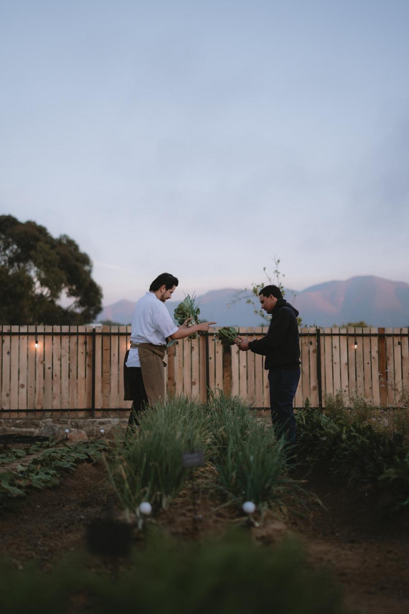 Mya Hotel Valle de Guadalupe Zewnętrze zdjęcie