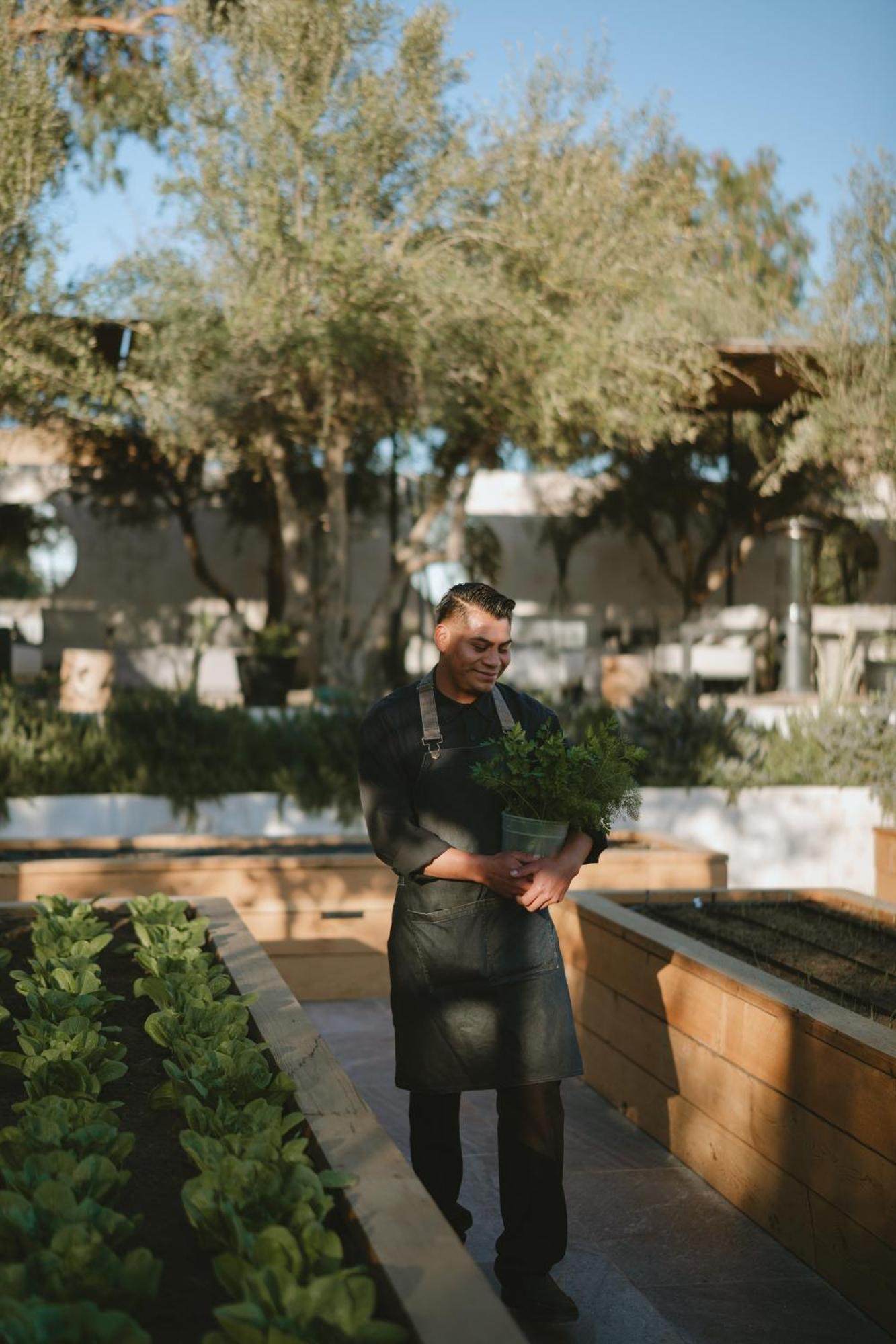 Mya Hotel Valle de Guadalupe Zewnętrze zdjęcie