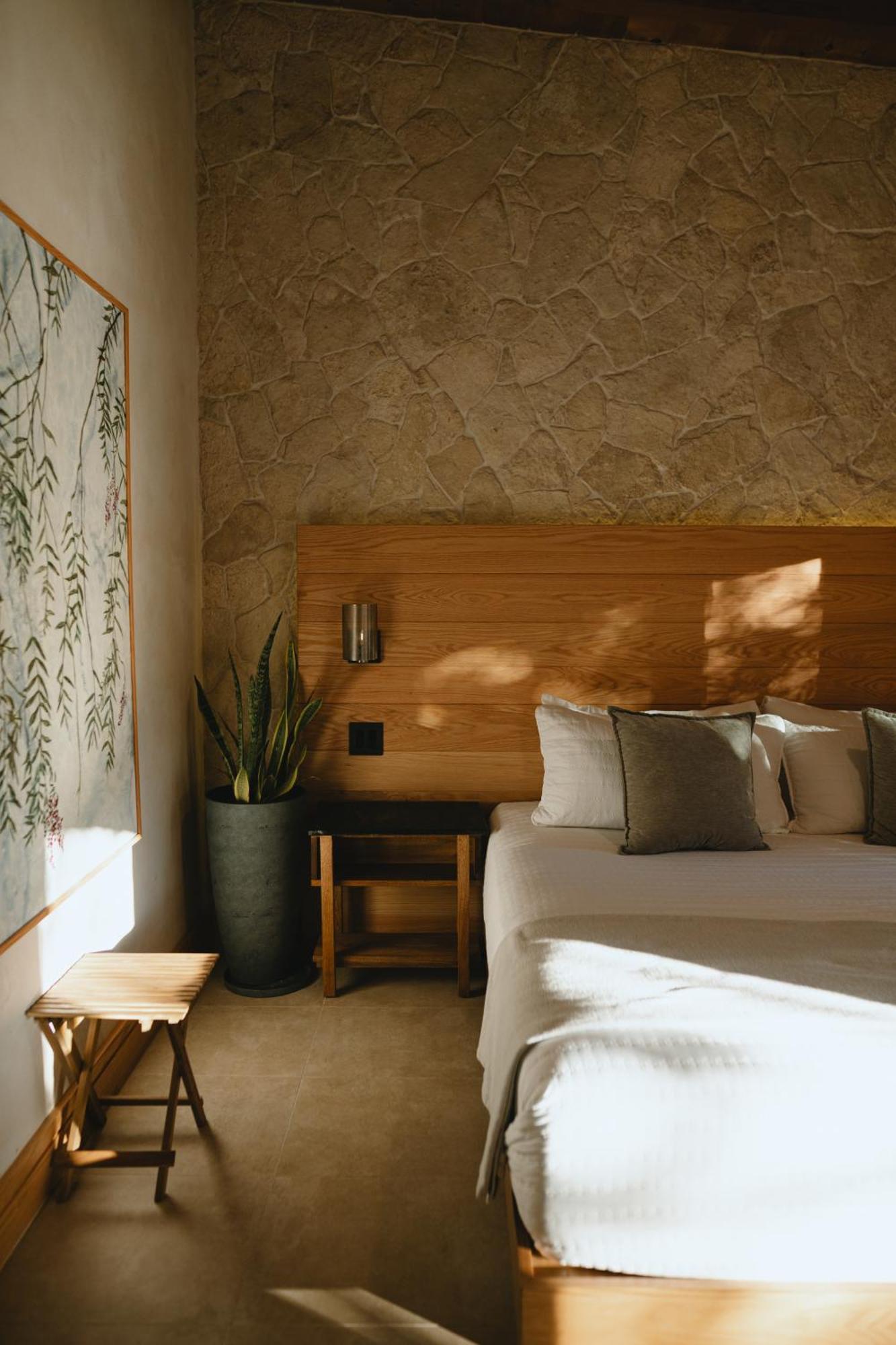 Mya Hotel Valle de Guadalupe Zewnętrze zdjęcie