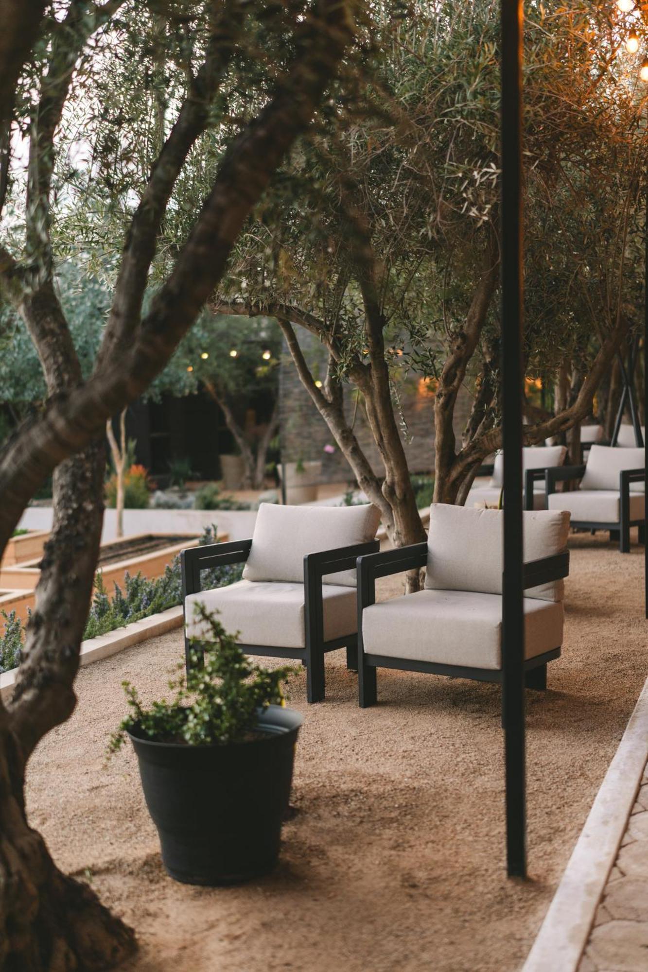 Mya Hotel Valle de Guadalupe Zewnętrze zdjęcie
