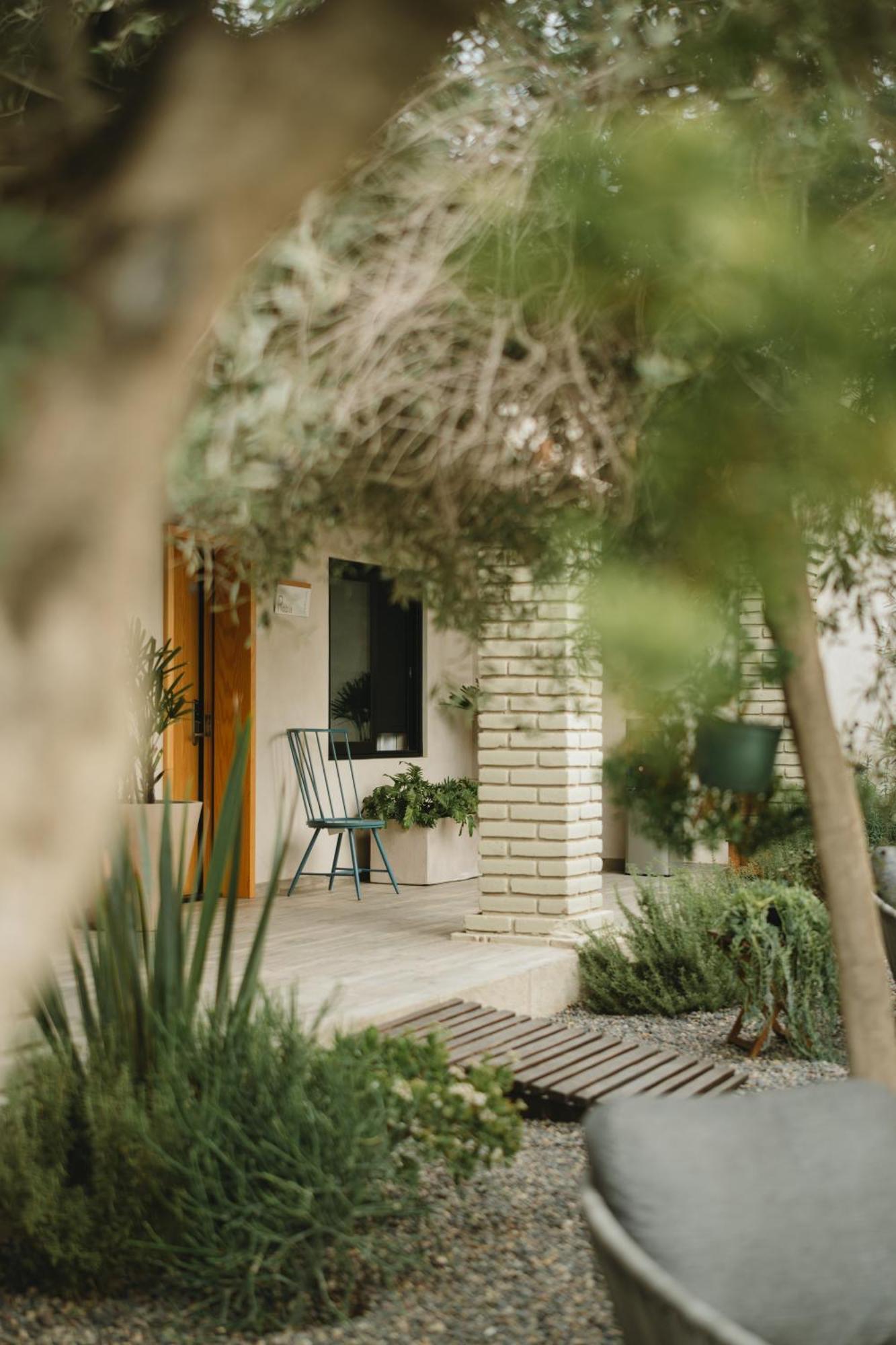 Mya Hotel Valle de Guadalupe Zewnętrze zdjęcie