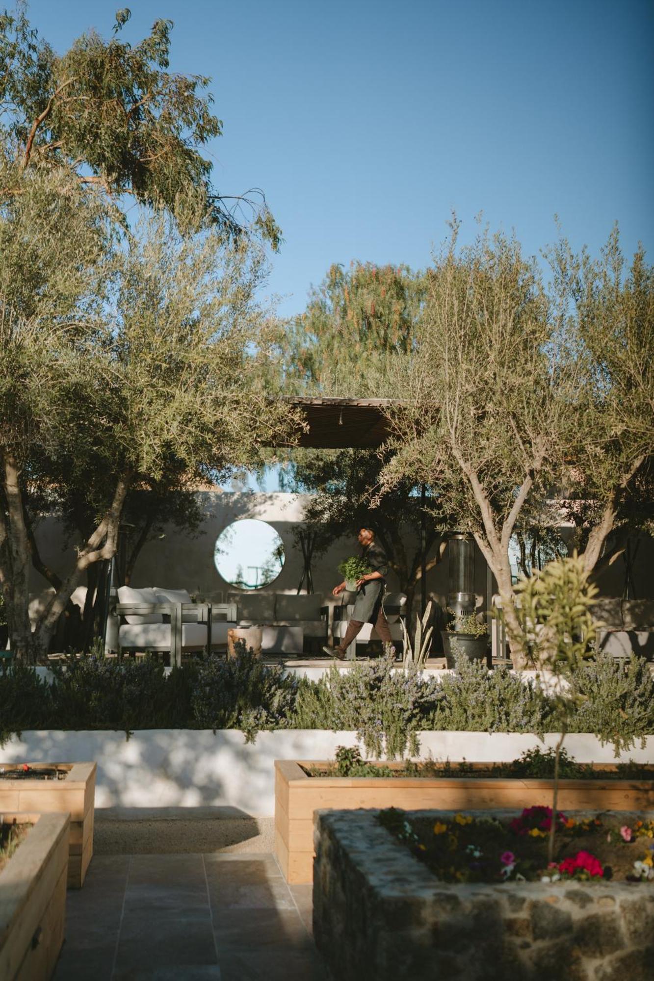 Mya Hotel Valle de Guadalupe Zewnętrze zdjęcie