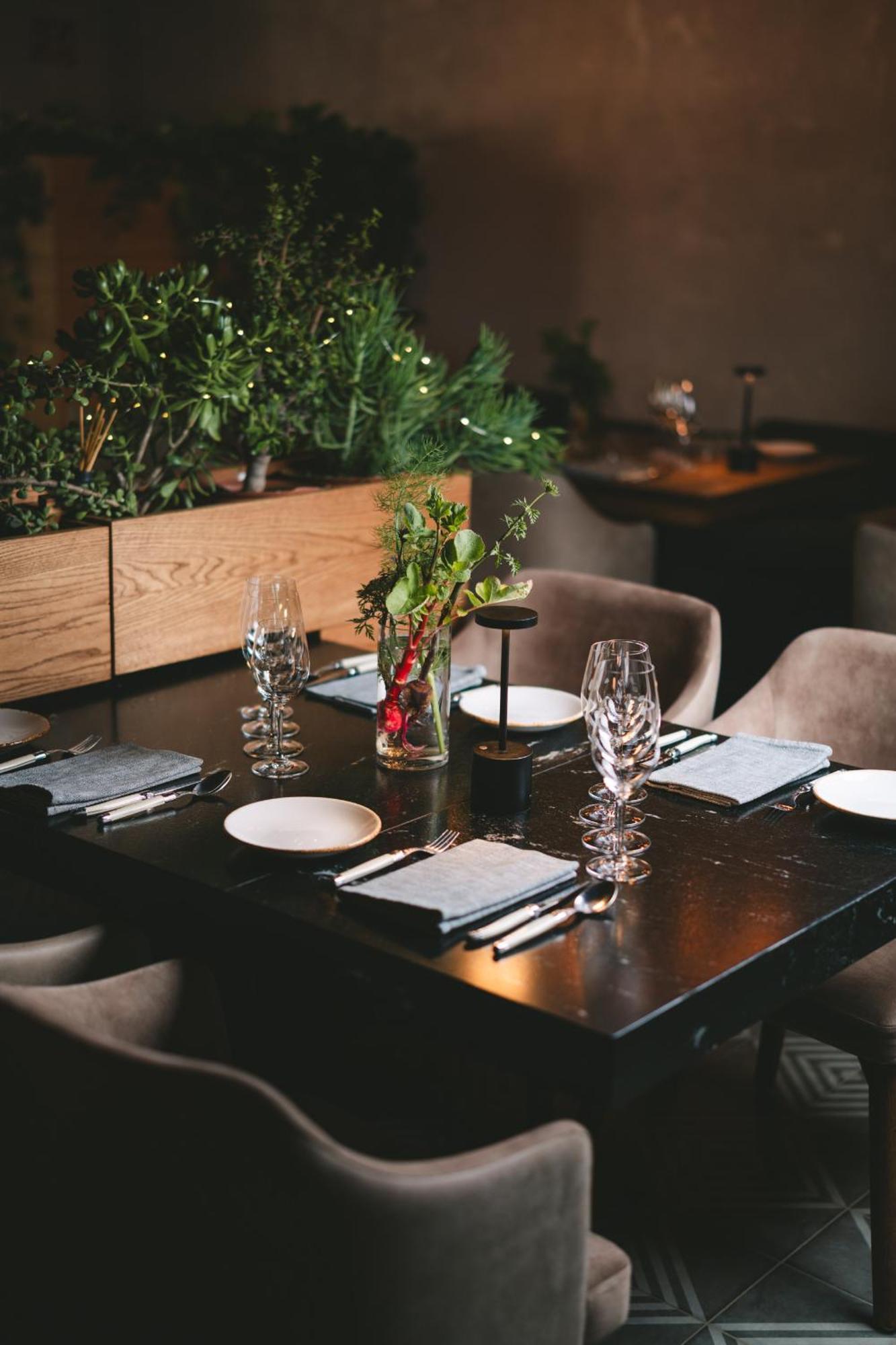 Mya Hotel Valle de Guadalupe Zewnętrze zdjęcie