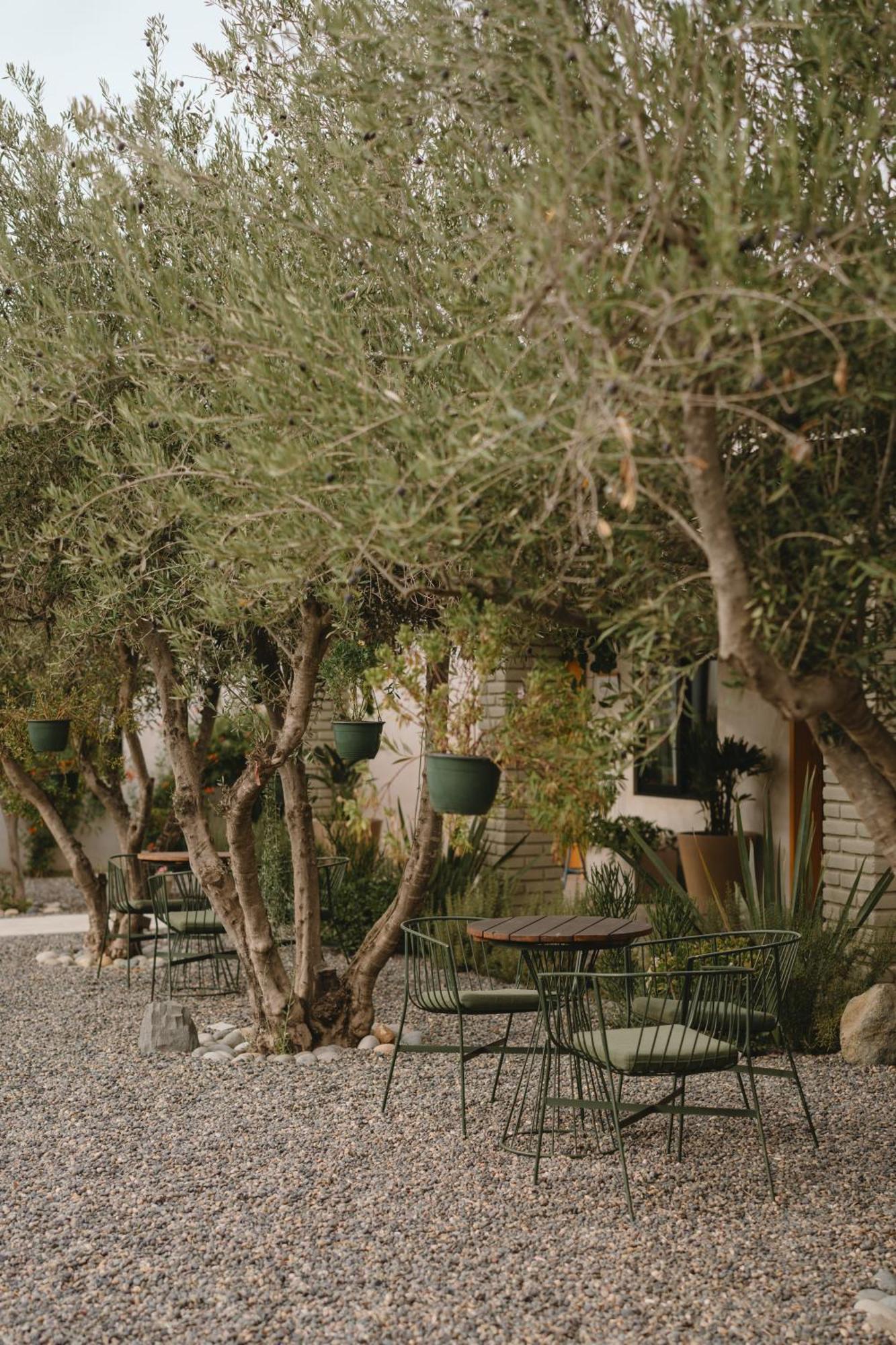 Mya Hotel Valle de Guadalupe Zewnętrze zdjęcie