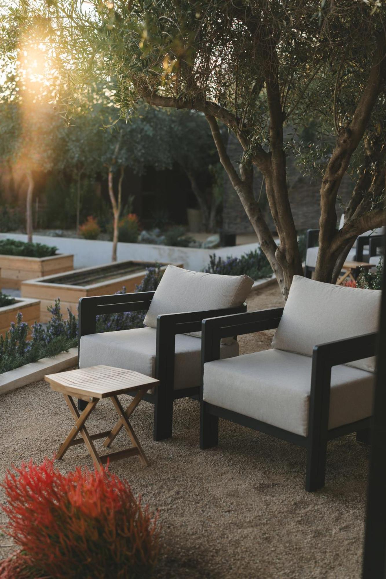 Mya Hotel Valle de Guadalupe Zewnętrze zdjęcie