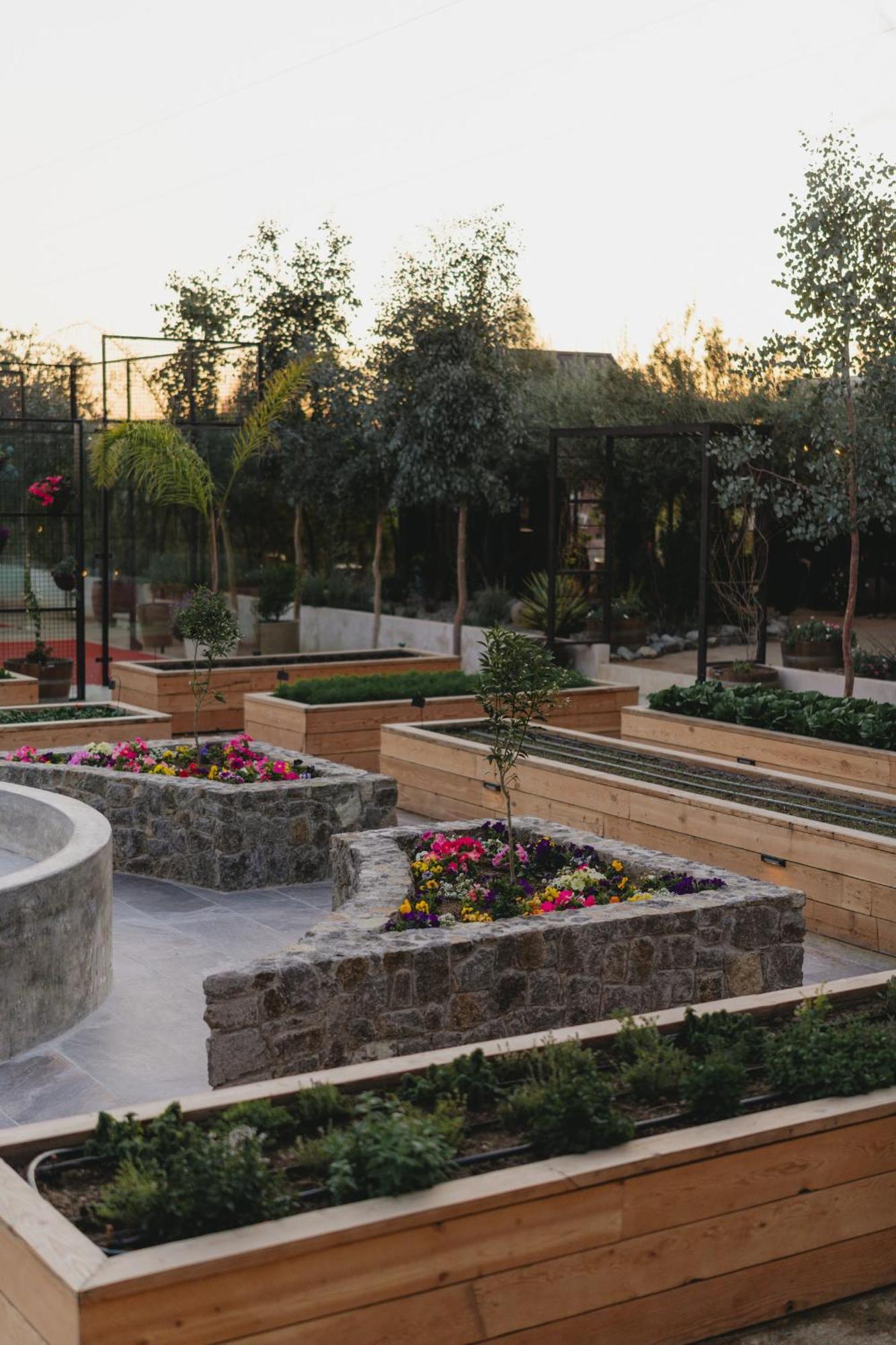 Mya Hotel Valle de Guadalupe Zewnętrze zdjęcie