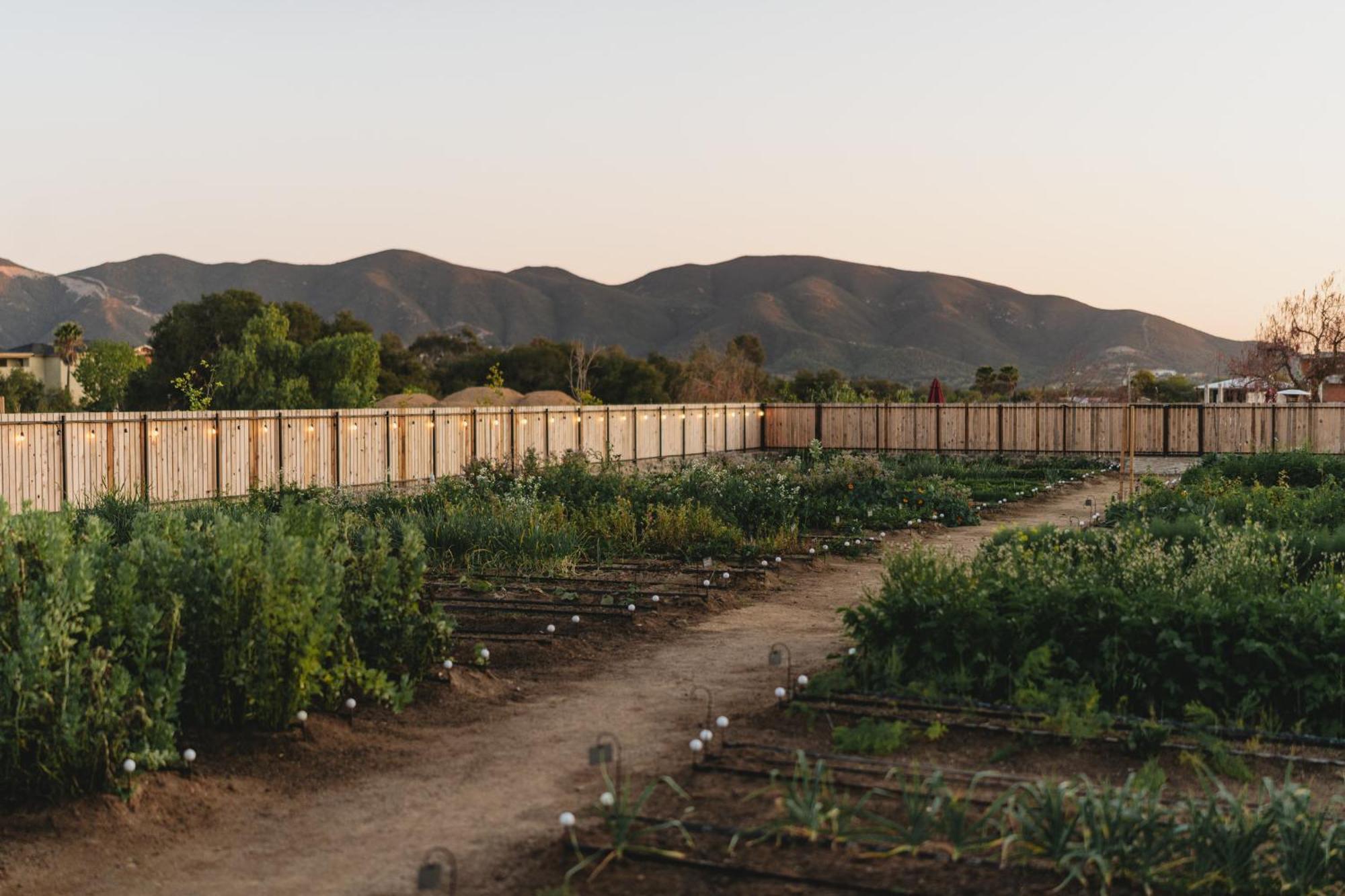 Mya Hotel Valle de Guadalupe Zewnętrze zdjęcie