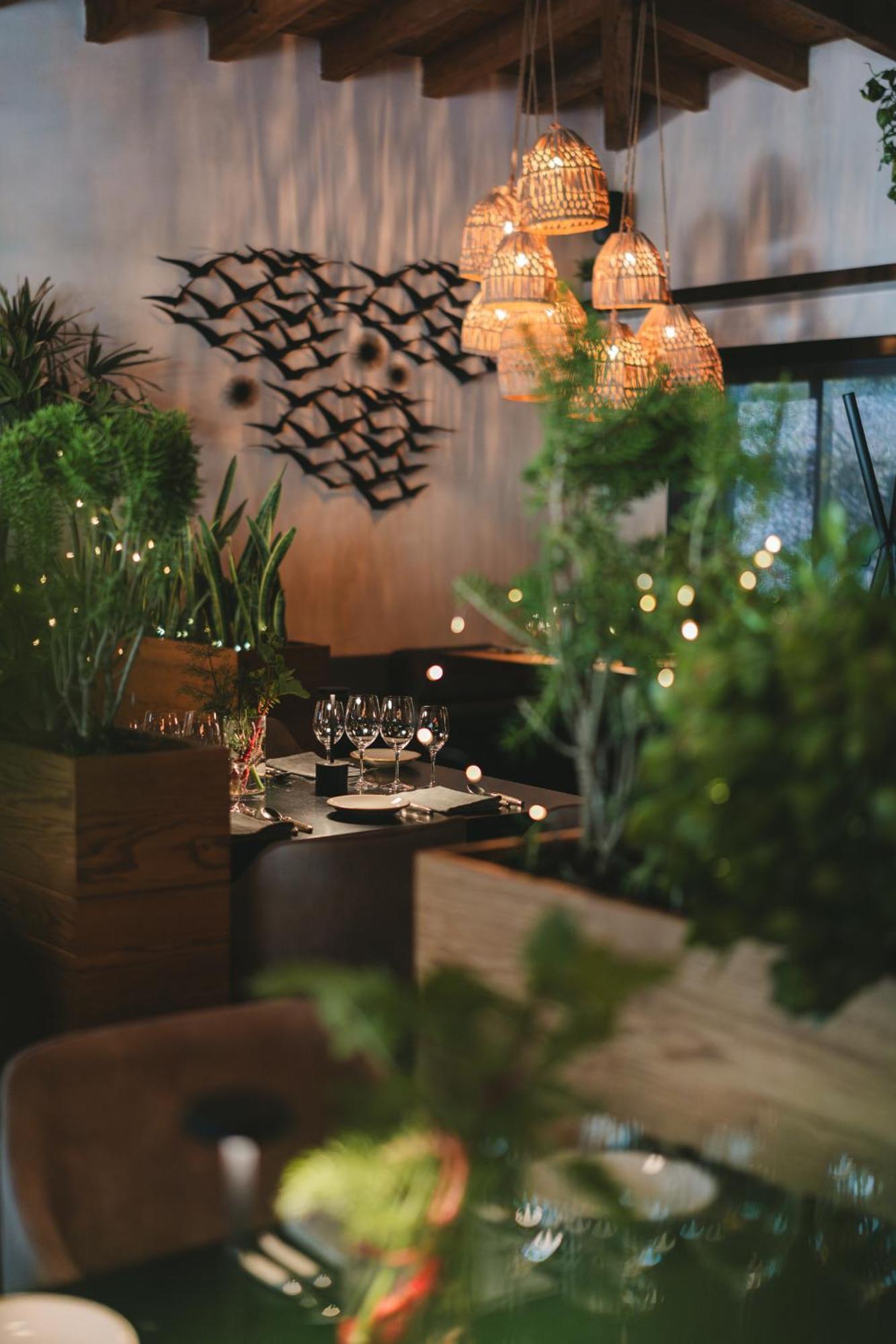 Mya Hotel Valle de Guadalupe Zewnętrze zdjęcie